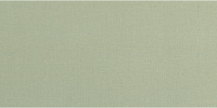 Ready To Wear Decked Out 2×6 Field Tile Matte