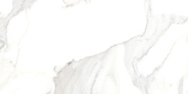 Calacatta 12×24 Field Tile Honed Rectified