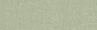 Ready To Wear Decked Out 2×6 Field Tile Matte