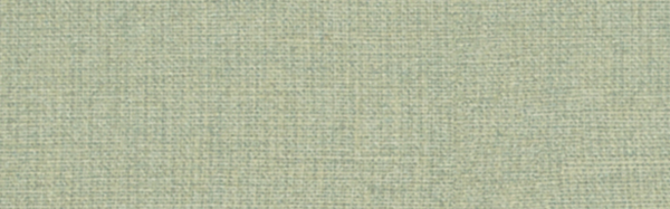 Ready To Wear Decked Out 2×6 Field Tile Matte