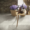 Element Silver 12x24