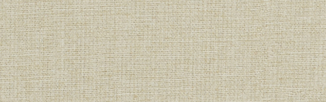 Ready To Wear Off The Cuff 2×6 Field Tile Matte