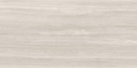 Caspar Shadow 16×32 Field Tile Matte Rectified