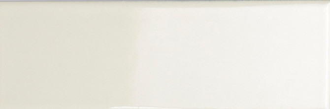 Bits Tundra 2×5 Field Tile Gloss