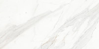 Majesto Calacatta Borghini 24×48 Field Tile Vintage Rectified