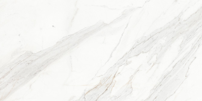 Majesto Calacatta Borghini 24×48 Field Tile Vintage Rectified