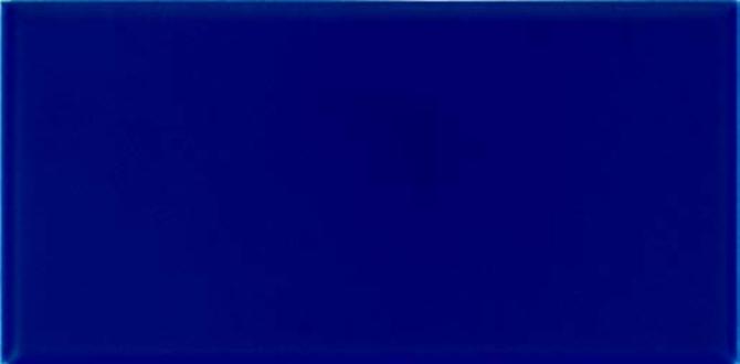 Color Complements Atlantis 2×6 Radius Bullnose Matte