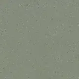 Global Collection Moss Green 12×12 Field Tile Flaked