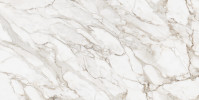 Majesto Calacatta Oro 63×126 Slab Honed Rectified