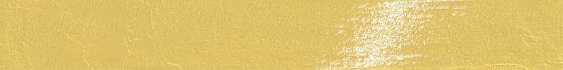 Playful Gold 3×24 Field Tile Glossy