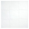TrueTones Ceramics Light White Gloss 4-1/2×4-1/2 Zelli Field Tile Gloss