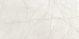 Absolute White 12×24 Field Tile