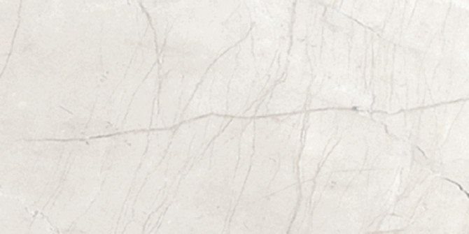 Absolute White 12×24 Field Tile