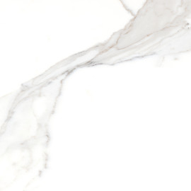 Calacatta 12×12 Field Tile Honed Rectified