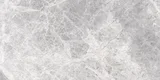 Supreme Silver 12×24 Field Tile Matte Rectified