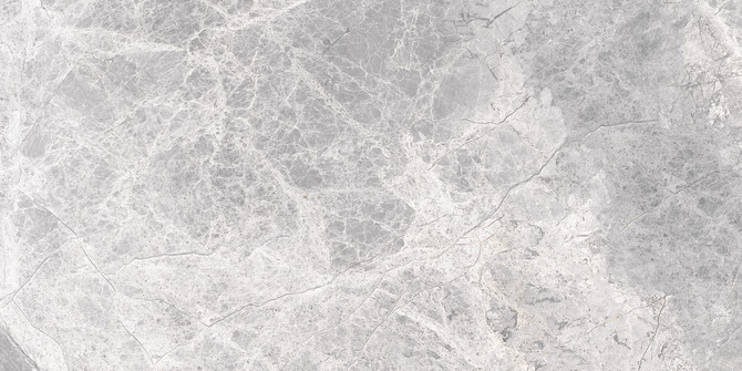 Supreme Silver 12×24 Field Tile Matte Rectified
