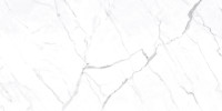 Mayfair Statuario Venato 24×48 Field Tile Polished Rectified
