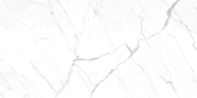 Mayfair Statuario Venato 24×48 Field Tile Polished Rectified