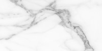 Gleam Statuario 12×24 Field Tile Matte