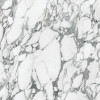 Majesto Arabescato Corchia 36×36 Field Tile Honed Rectified