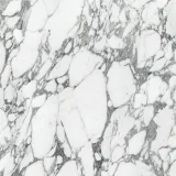 Majesto Arabescato Corchia 36×36 Field Tile Honed Rectified