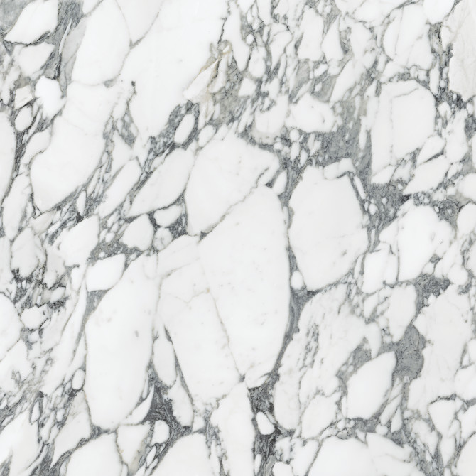 Majesto Arabescato Corchia 36×36 Field Tile Honed Rectified