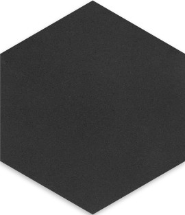Basalt Black 10″ Hexagon Field Tile Honed