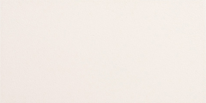 Stellar Quickship Creamy Crackle 6X12 FIELD TILE