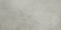Ceraforge Chromium 12×24 Field Tile Rectified