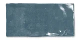 Fez Ocean 2×5 Field Tile Glossy