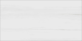 Epic Dolomite 12×24 Field Tile Polished rectified