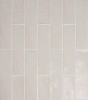Mirazur Delfina 2-1/2×10 Field Tile