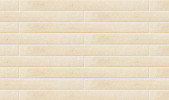 Arcaico Border Ivory 1×9 Field Tile Matte