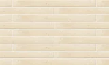 Arcaico Border Ivory 1×10 Field Tile Matte