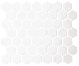Regina White 2×2 Hexagon Mosaic Glossy