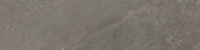 Portugal Harvest Tawny (Cold Dark) 6×24 Field Tile Matte Rectified