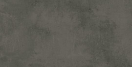 Cove Coal 24×48 Field Tile Rectified