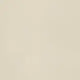 Neoconcrete White 24×24 Field Tile Light Polished Rectified