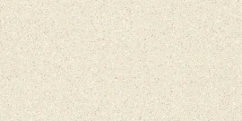 Alaska Bone 12×24 Field Tile Matte Rectified