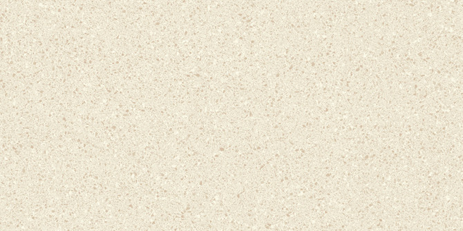 Alaska Bone 12×24 Field Tile Matte Rectified