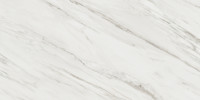 Majesto Calacatta Cremo 24×48 Field Tile Polished Rectified