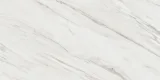 Majesto Calacatta Cremo 24×48 Field Tile Honed Rectified