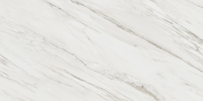 Majesto Calacatta Cremo 24×48 Field Tile Polished Rectified