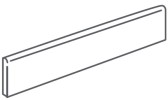 +One 3×24 Bullnose Polished