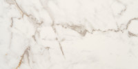 Brisbane Calacatta 12×24 Field Tile