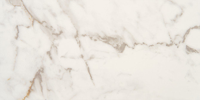 Brisbane Calacatta 12×24 Field Tile