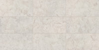Forgehaus Beam 12×24 Field Tile Rectified