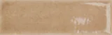 Skin Biscuit 2×5 Field Tile Glossy