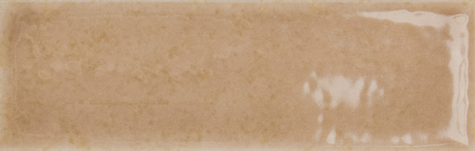 Skin Biscuit 2×5 Field Tile Glossy