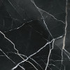 Majesto Calacatta Noir 24×24 Field Tile Honed Rectified